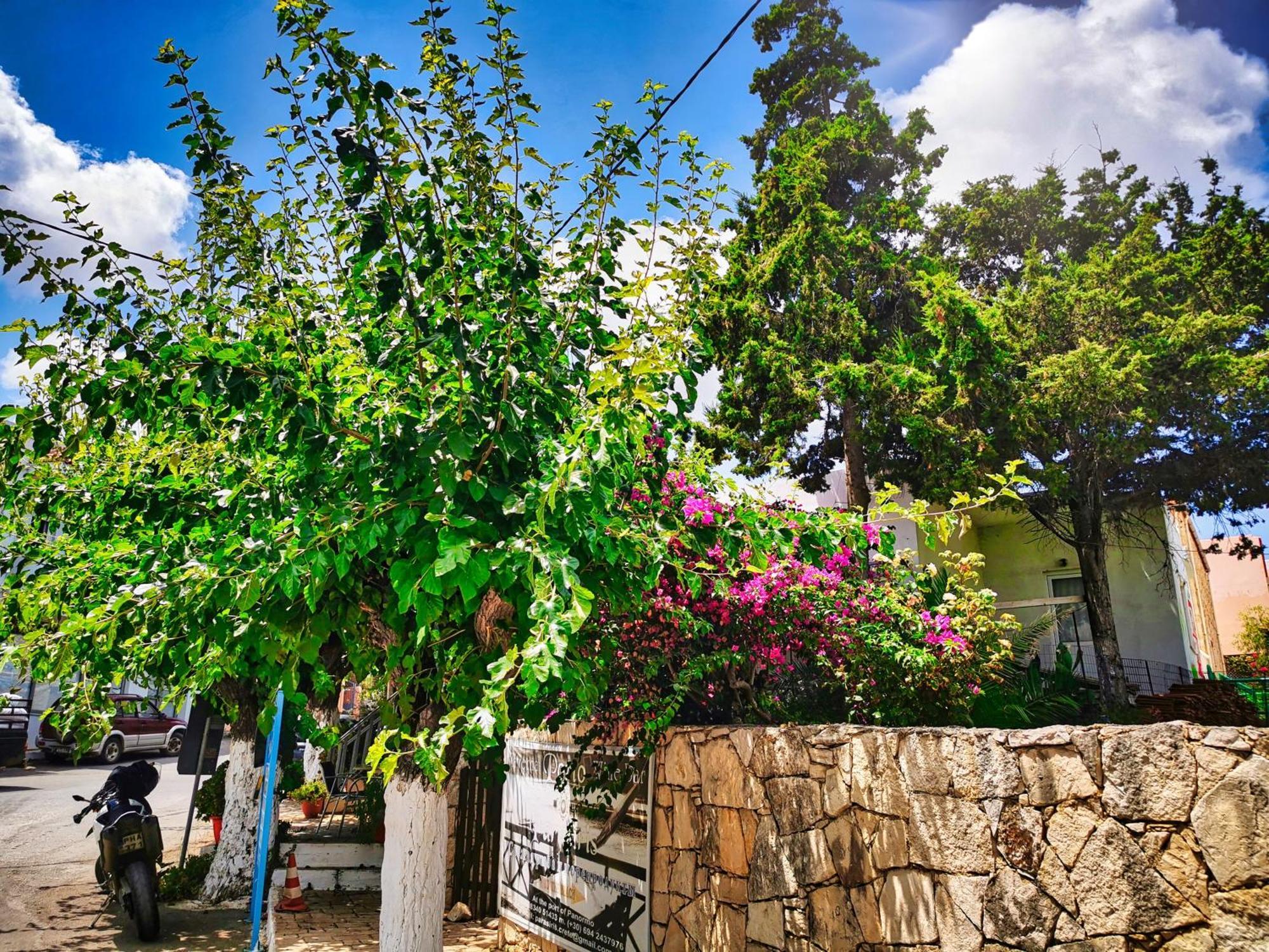 Phaos Residence, Your Stylish Crete Retreat Pánormos エクステリア 写真